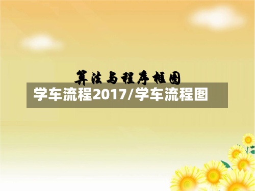 学车流程2017/学车流程图-第2张图片