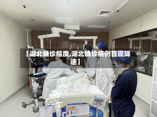 【湖北确诊幅度,湖北确诊病例首现降速】-第2张图片