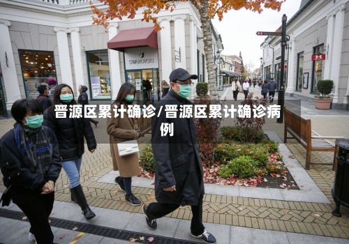 晋源区累计确诊/晋源区累计确诊病例