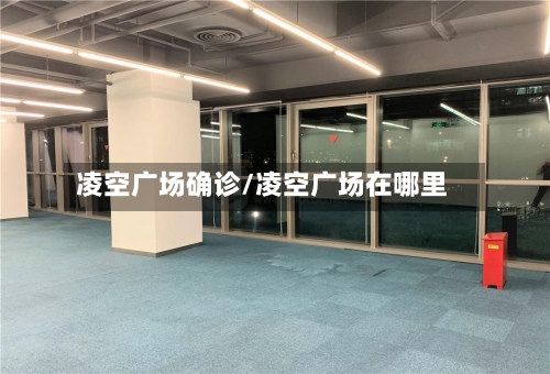 凌空广场确诊/凌空广场在哪里-第2张图片