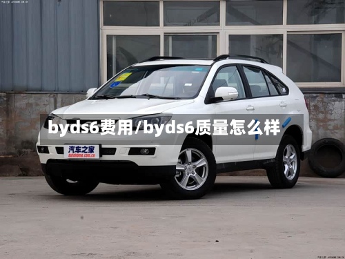 byds6费用/byds6质量怎么样-第2张图片