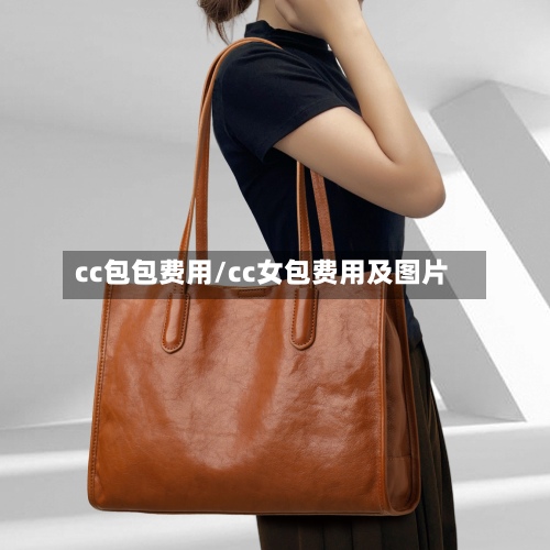 cc包包费用/cc女包费用及图片