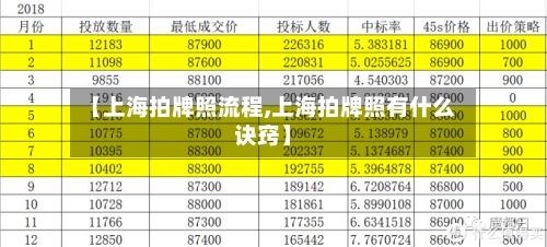 【上海拍牌照流程,上海拍牌照有什么诀窍】