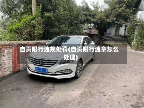 自贡限行违规处罚(自贡限行违章怎么处理)