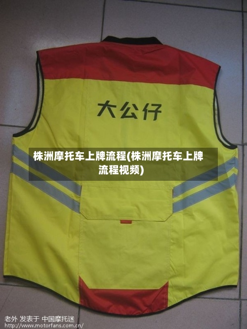 株洲摩托车上牌流程(株洲摩托车上牌流程视频)-第2张图片