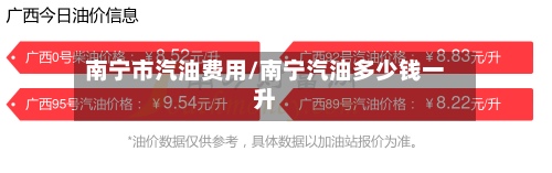 南宁市汽油费用/南宁汽油多少钱一升-第3张图片