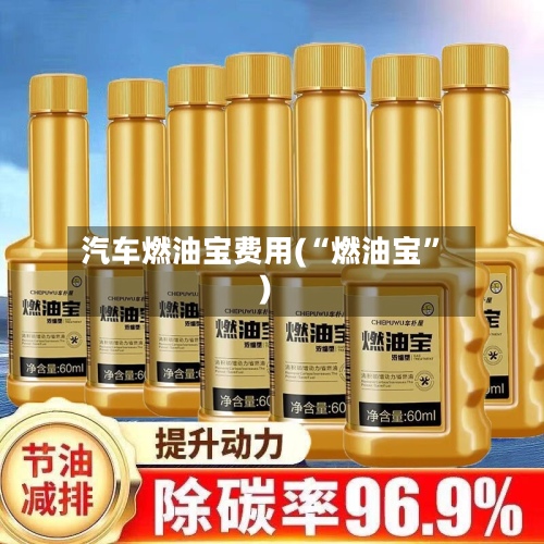 汽车燃油宝费用(“燃油宝”)