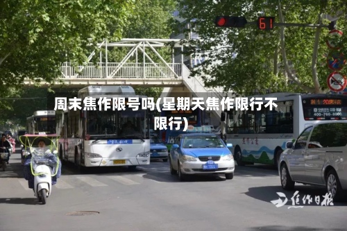 周末焦作限号吗(星期天焦作限行不限行)-第2张图片