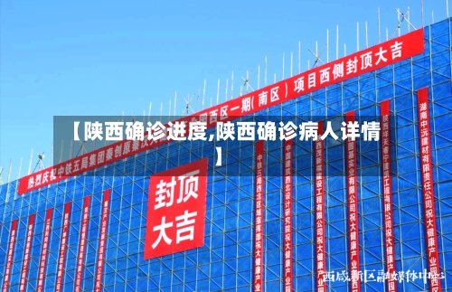 【陕西确诊进度,陕西确诊病人详情】