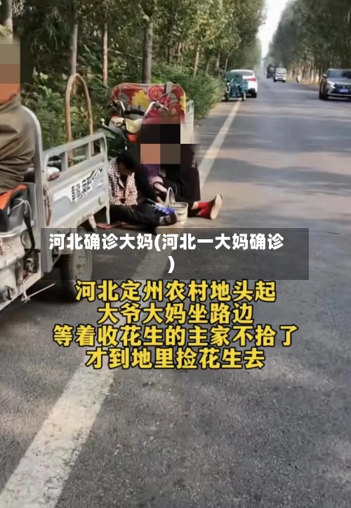河北确诊大妈(河北一大妈确诊)
