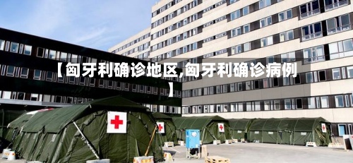 【匈牙利确诊地区,匈牙利确诊病例】-第2张图片