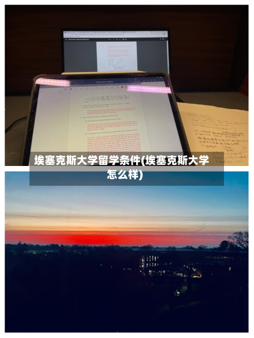 埃塞克斯大学留学条件(埃塞克斯大学怎么样)