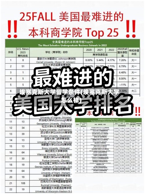 埃塞克斯大学留学条件(埃塞克斯大学怎么样)-第2张图片
