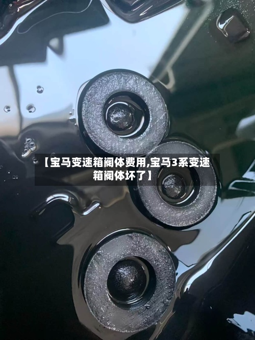 【宝马变速箱阀体费用,宝马3系变速箱阀体坏了】-第3张图片