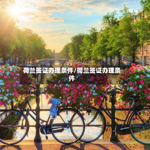 荷兰签证办理条件/荷兰签证办理条件-第1张图片
