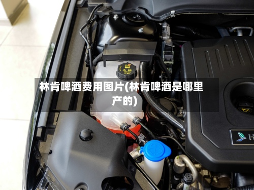 林肯啤酒费用图片(林肯啤酒是哪里产的)