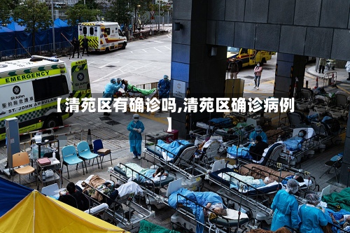 【清苑区有确诊吗,清苑区确诊病例】