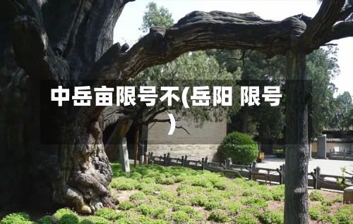 中岳亩限号不(岳阳 限号)