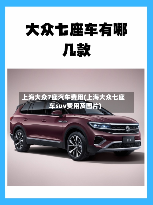 上海大众7座汽车费用(上海大众七座车suv费用及图片)-第2张图片