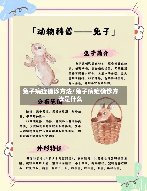 兔子病症确诊方法/兔子病症确诊方法是什么