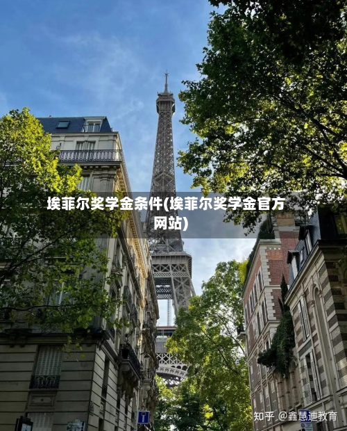 埃菲尔奖学金条件(埃菲尔奖学金官方网站)-第2张图片