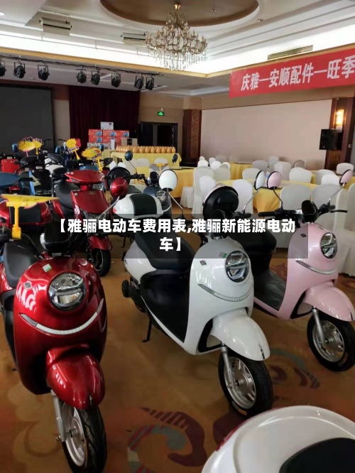 【雅骊电动车费用表,雅骊新能源电动车】-第3张图片
