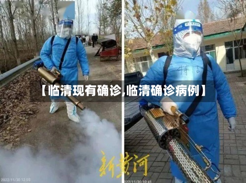 【临清现有确诊,临清确诊病例】