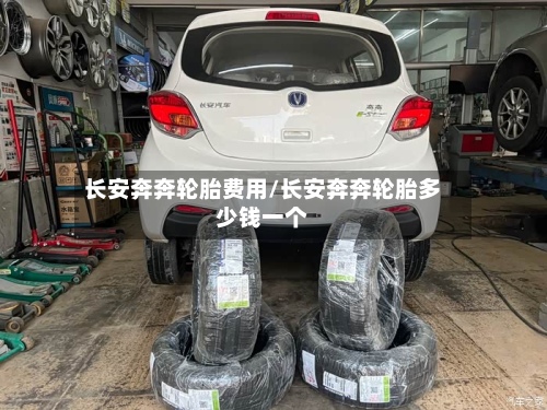 长安奔奔轮胎费用/长安奔奔轮胎多少钱一个