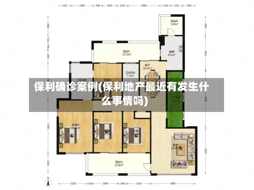 保利确诊案例(保利地产最近有发生什么事情吗)-第2张图片
