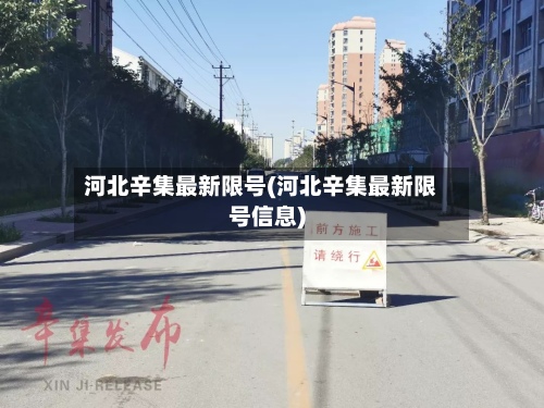河北辛集最新限号(河北辛集最新限号信息)-第2张图片