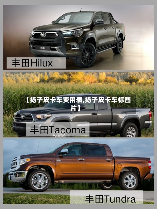 【扬子皮卡车费用表,扬子皮卡车标图片】-第2张图片
