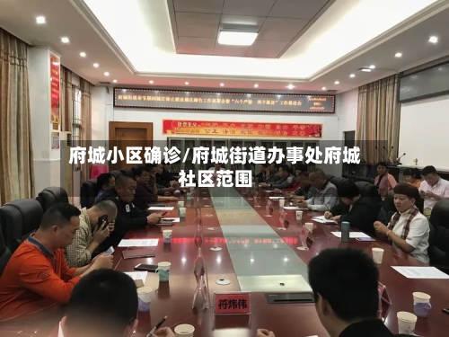 府城小区确诊/府城街道办事处府城社区范围-第2张图片