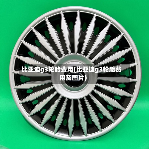 比亚迪g3轮胎费用(比亚迪g3轮胎费用及图片)