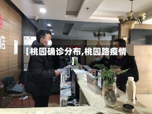 【桃园确诊分布,桃园路疫情】