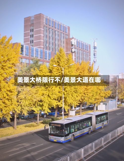 美景大桥限行不/美景大道在哪