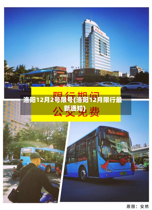 洛阳12月2号限号(洛阳12月限行最新通知)-第2张图片