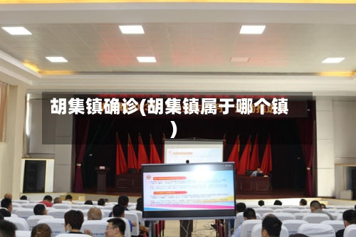 胡集镇确诊(胡集镇属于哪个镇)-第2张图片