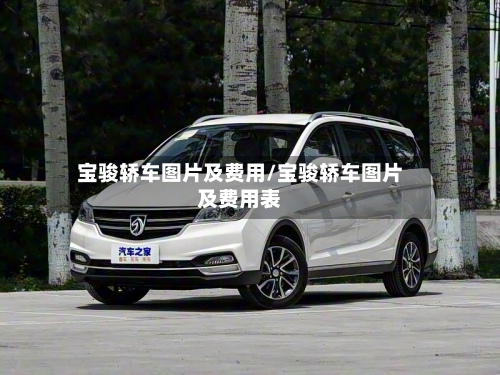宝骏轿车图片及费用/宝骏轿车图片及费用表-第2张图片