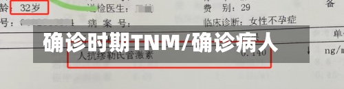 确诊时期TNM/确诊病人