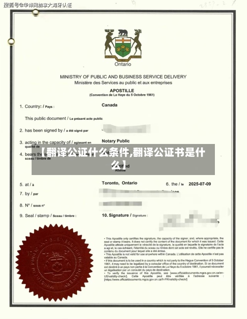 【翻译公证什么条件,翻译公证书是什么】