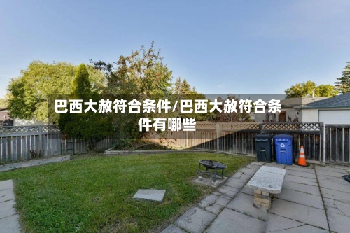 巴西大赦符合条件/巴西大赦符合条件有哪些-第2张图片