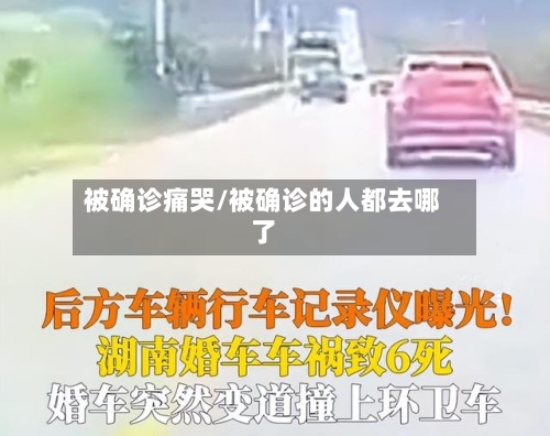 被确诊痛哭/被确诊的人都去哪了