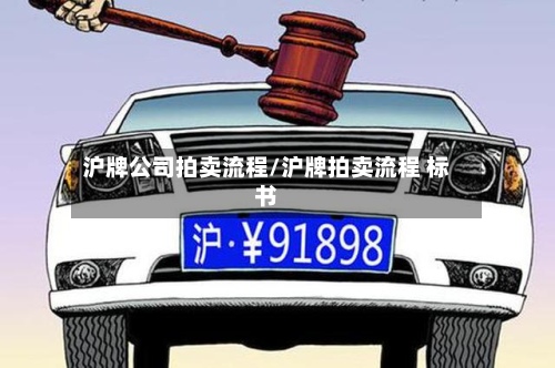 沪牌公司拍卖流程/沪牌拍卖流程 标书