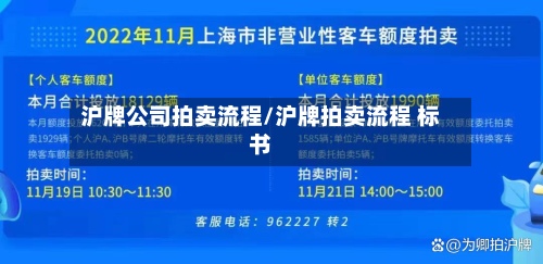 沪牌公司拍卖流程/沪牌拍卖流程 标书-第2张图片
