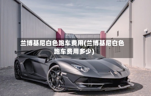 兰博基尼白色跑车费用(兰博基尼白色跑车费用多少)-第2张图片