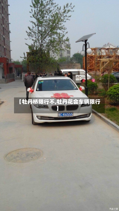 【牡丹桥限行不,牡丹花会车辆限行】