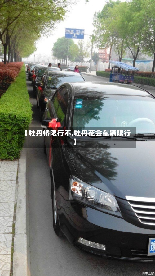 【牡丹桥限行不,牡丹花会车辆限行】-第2张图片