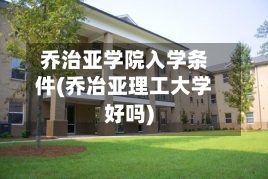 乔治亚学院入学条件(乔冶亚理工大学好吗)-第2张图片