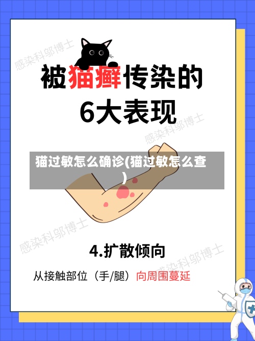 猫过敏怎么确诊(猫过敏怎么查)-第2张图片
