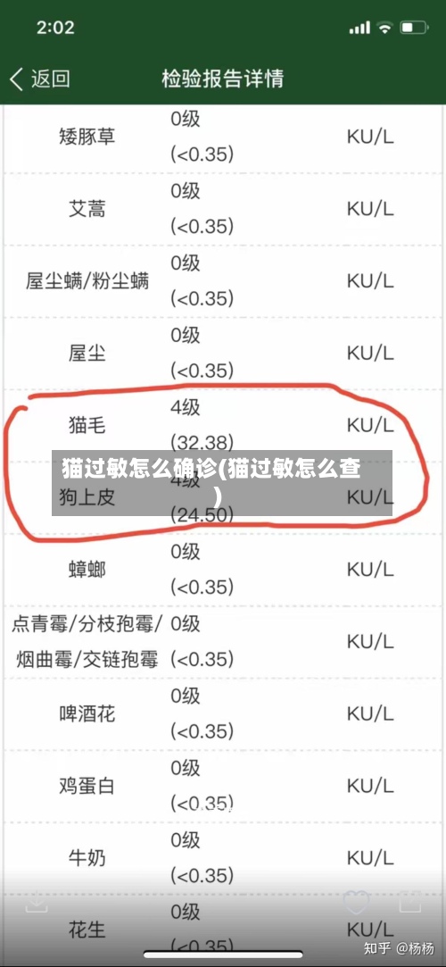猫过敏怎么确诊(猫过敏怎么查)